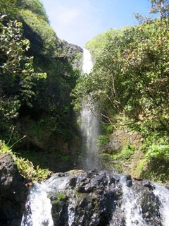 38.-0419.jpg