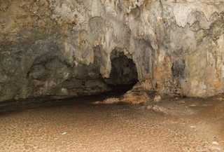 8,Gua-Sum.jpg