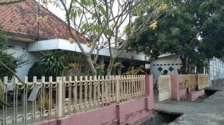 AA1D504p.jpg
