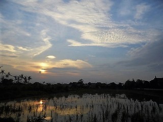 DSC01608.JPG