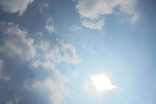 DSC02870.JPG