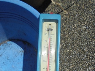 DSC04430.JPG