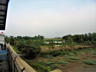 DSC06578.JPG