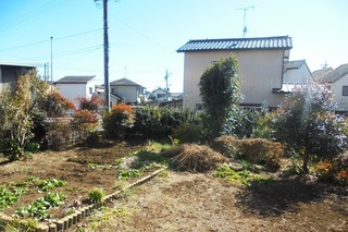 DSC07021.JPG