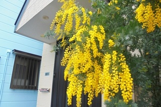 DSC07168.JPG