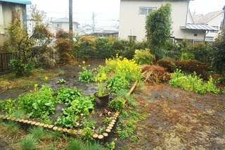 DSC07213.JPG