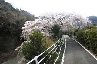 DSC07308.JPG