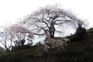 DSC07313.JPG