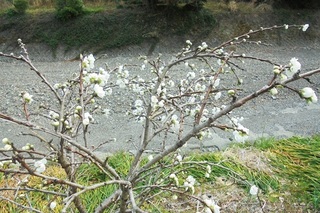 DSC07322.JPG