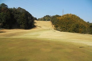 DSC07324.JPG