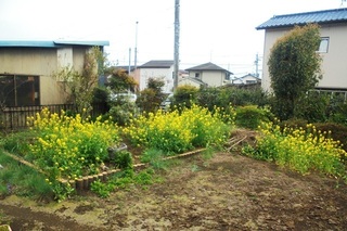 DSC07345.JPG