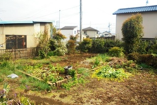 DSC07346.JPG