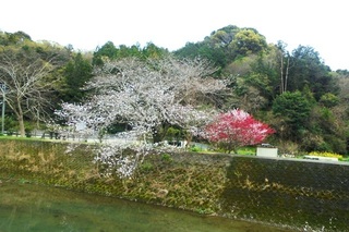 DSC07353.JPG