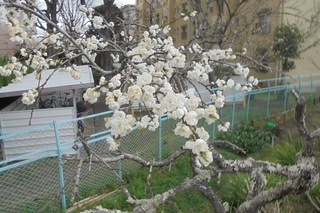 DSC07366.JPG
