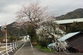 DSC07368.JPG