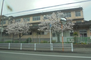 DSC07370.JPG