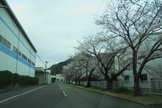 DSC07379.JPG