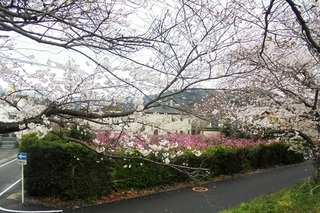 DSC07407.JPG
