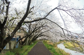 DSC07409.JPG