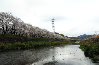 DSC07412.JPG