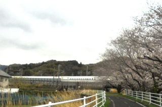 DSC07417.JPG