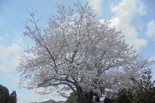 DSC07428.JPG