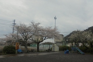 DSC07438.JPG