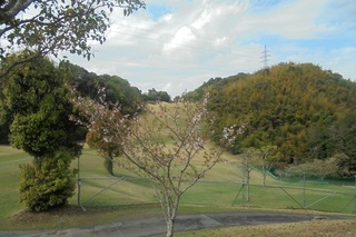 DSC07499.JPG