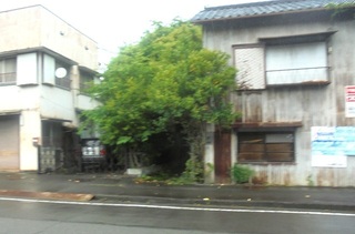 DSC07867.JPG