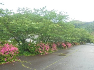 DSC07872.JPG
