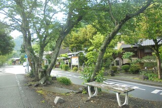 DSC07874.JPG
