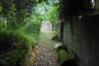 DSC07879.JPG