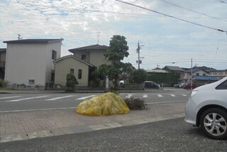 DSC07899.JPG