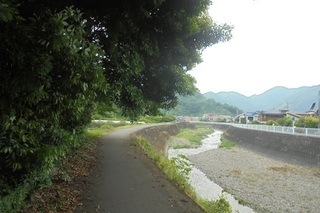 DSC07925.JPG