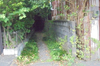 DSC07926.JPG