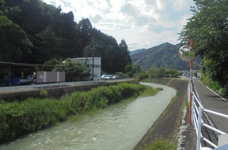DSC07948.JPG