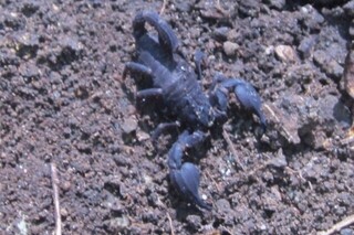 IMG_1205.jpg