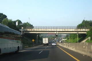 IMG_2403.jpg
