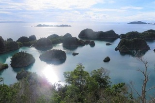 IMG_7152-_1.jpeg