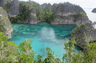 IMG_7235.jpeg