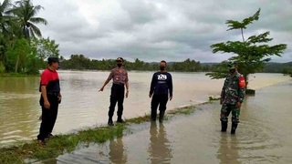 SawahBanjir.jpg
