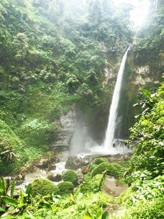 coban plangi.jpeg