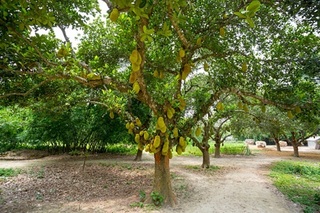 istockphoto.jpg