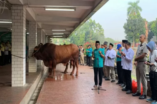 sapi-brawij.png
