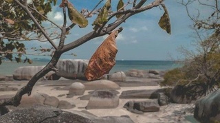 tanjung-tinggi.jpg